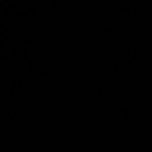 Meet your Posher, Darcey